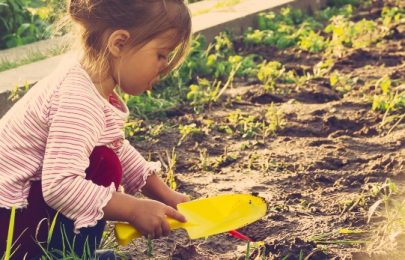 Horta em casa: como fazer?