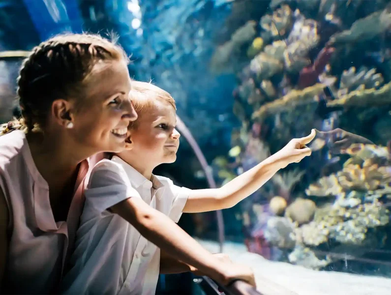 família no Oceanário